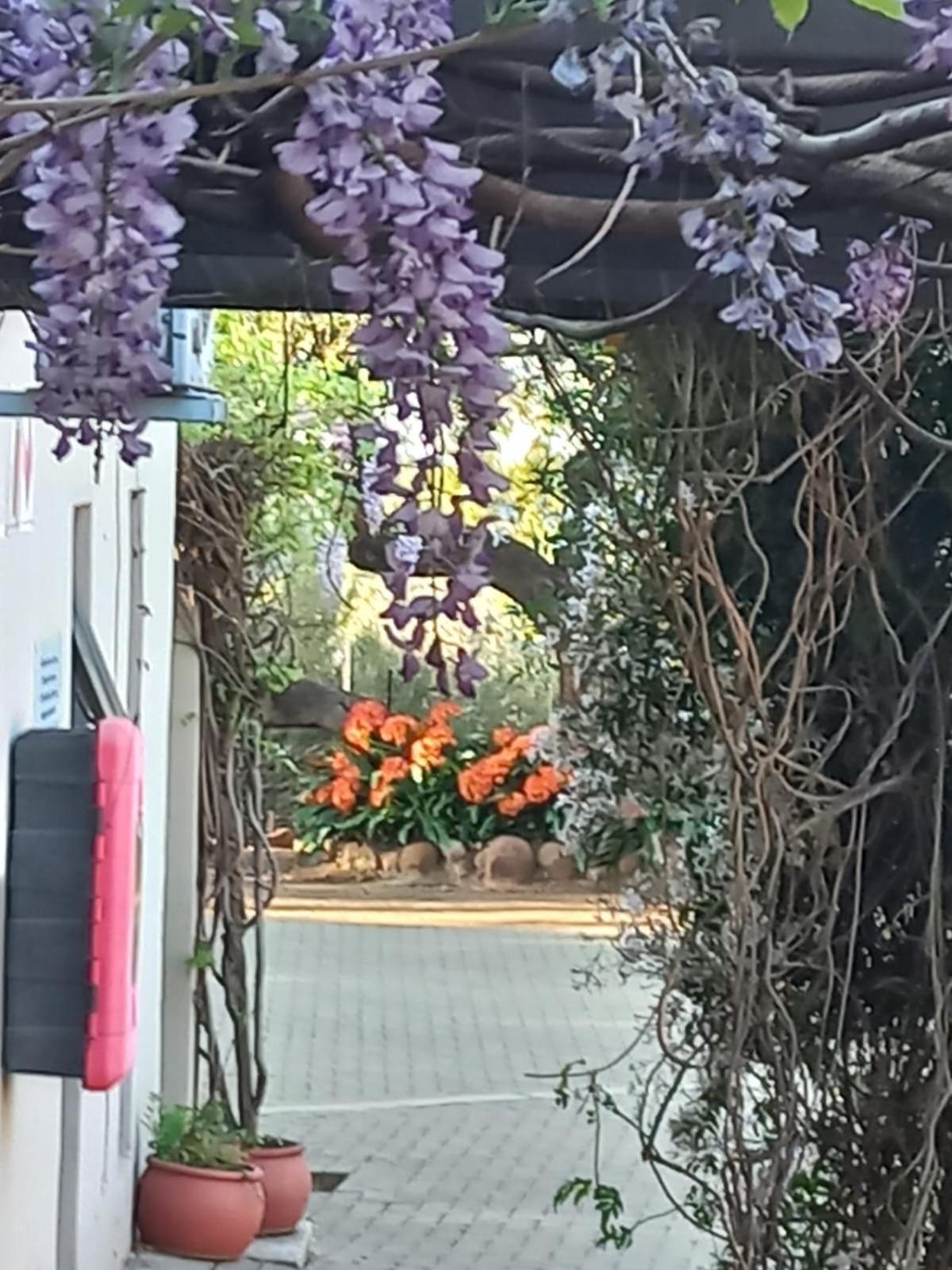 A Little Guesthouse Bloemfontein Exteriör bild